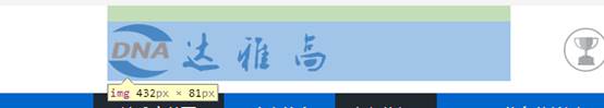 网站优化